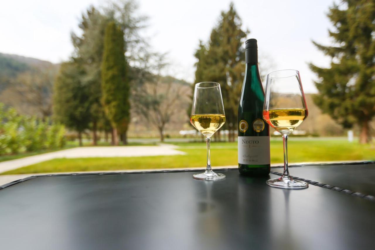 Rieslingresidenz Apartment Traben-Trarbach Luaran gambar